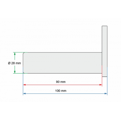 3008008LG Svornjak s podmazivanjem 28x100 mm MBB Palfinger